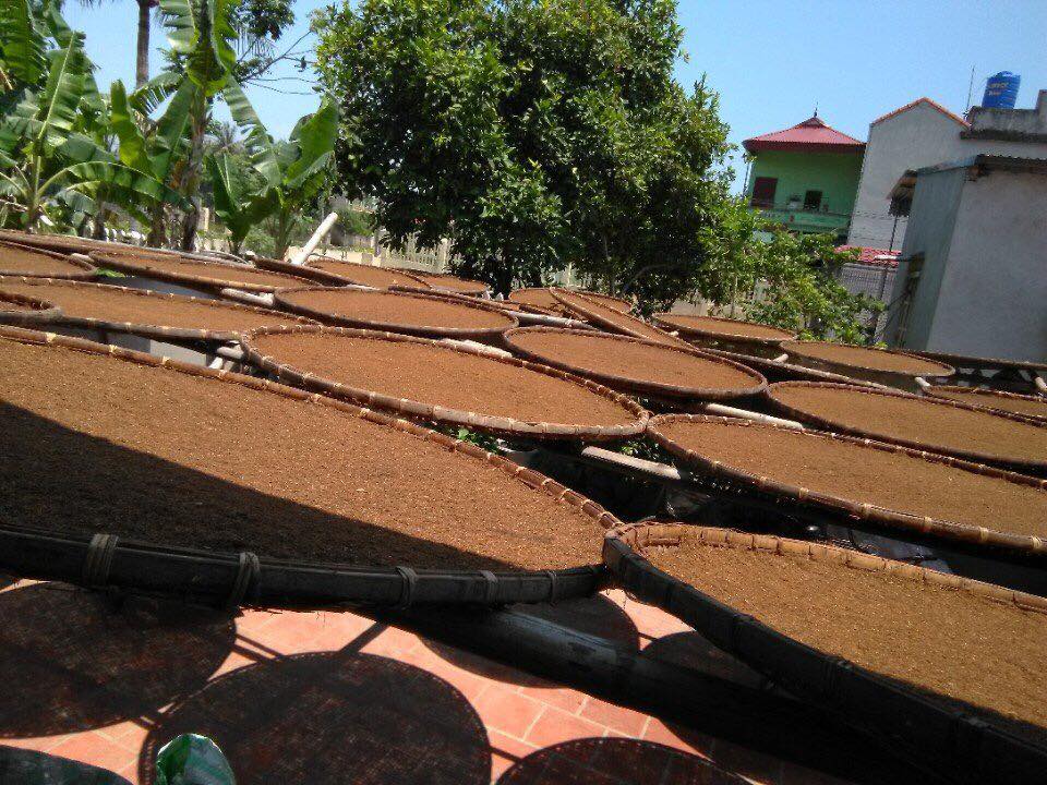 Thuốc lào Thanh Hóa nổi tiếng với hương vị đậm đà khó quên