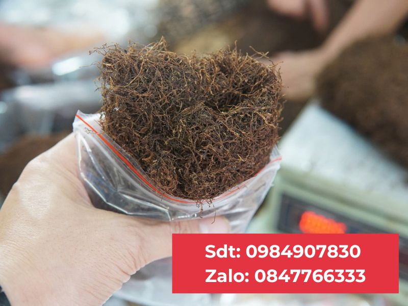 Thuốc Lào Thanh Hóa tại Ba Đình