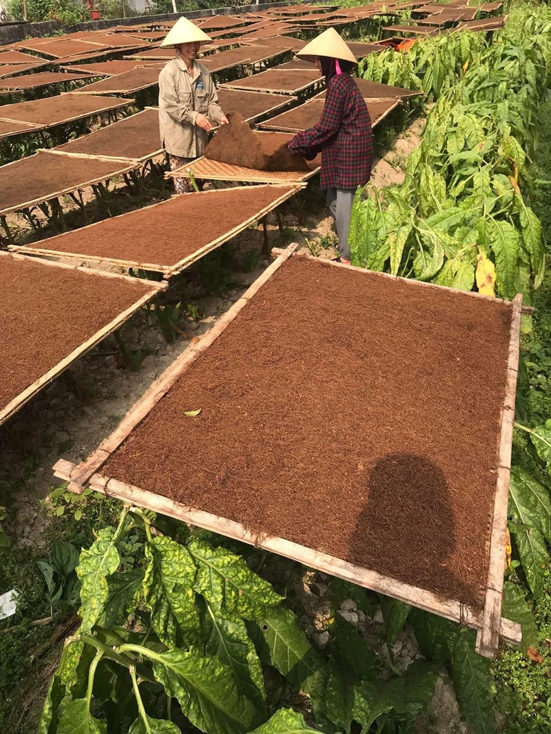 Thuốc lào Thanh Hóa Tại Đông Anh