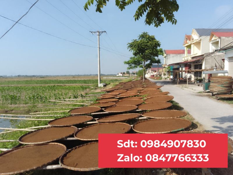 Thuốc Lào Thanh Hóa tại Hoàng Mai