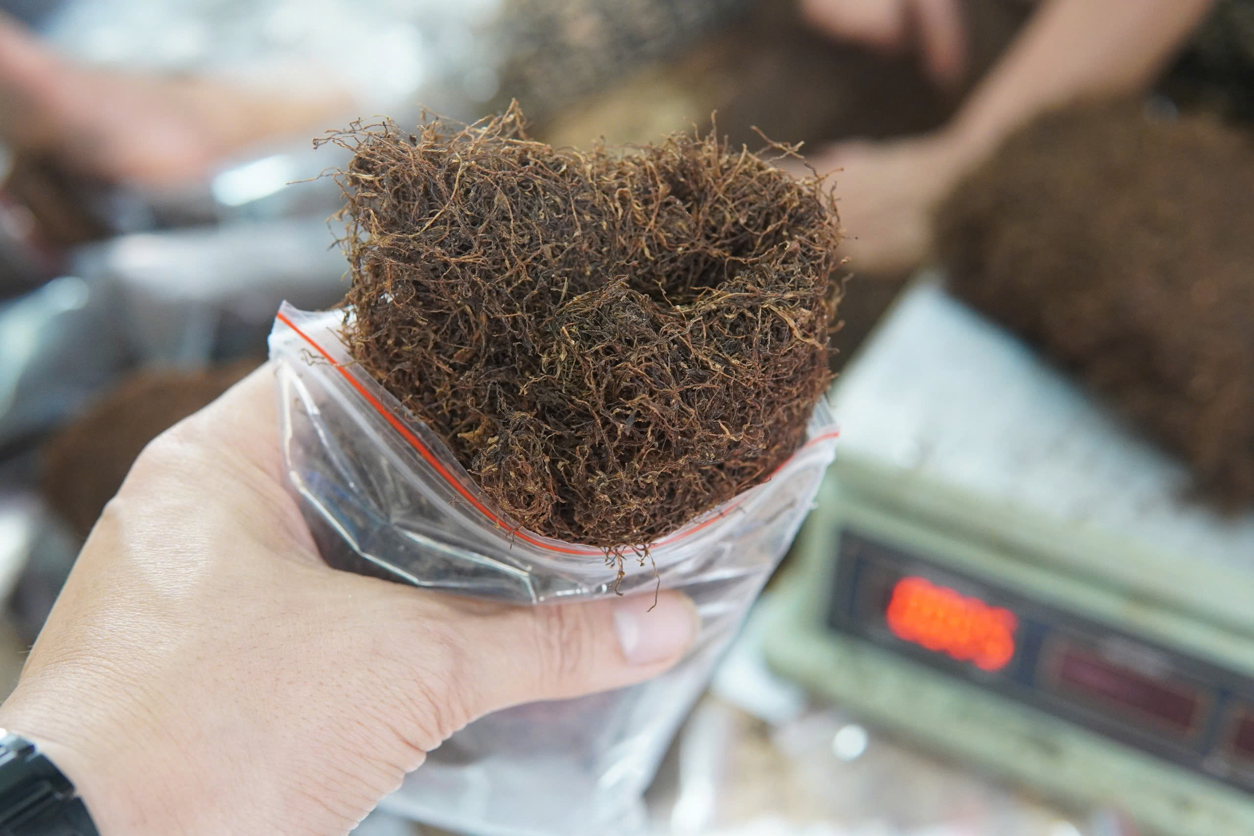 Tiêu chuẩn về quy trình sản xuất thuốc lào