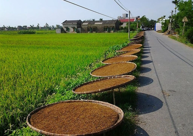 cách cai thuốc lào hiệu quả