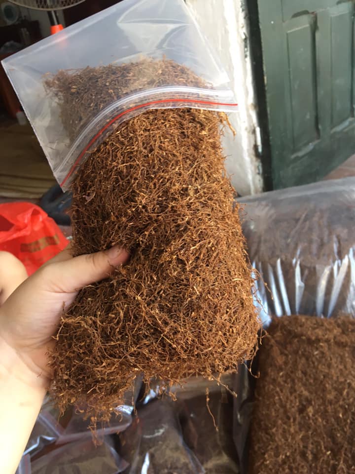 Sự khác biệt giữa thuốc lào Bắc và Nam