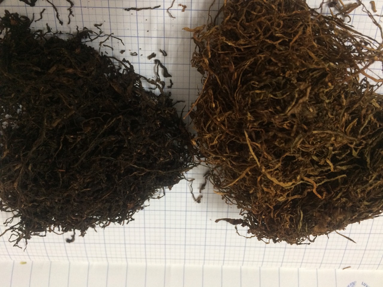 Sự khác biệt giữa thuốc lào Bắc và Nam