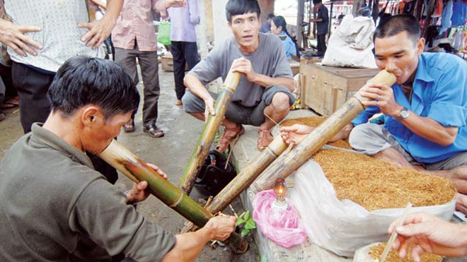 Thuốc Lào Có Gây Nghiện Không