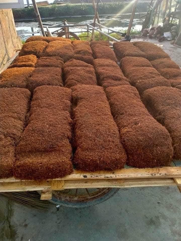 Thuốc Lào Là Gì