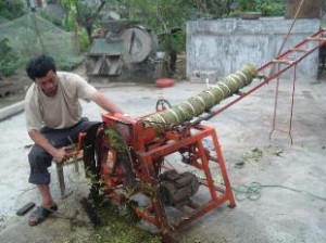 thuốc lào thanh hóa
