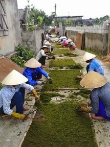 chuyên sản xuất thuốc lào thanh hóa