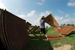 huốc lào ngon tại Hà nội, thuốc lào giá rẻ nhất - Thuốc Lào Thanh Hóa