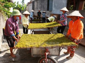 thuốc lào tại hải dương