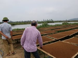 Thuốc lào Thanh Hóa được phơi nắng đóng bao rất cẩn thận