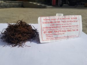 thuốc lào nếp