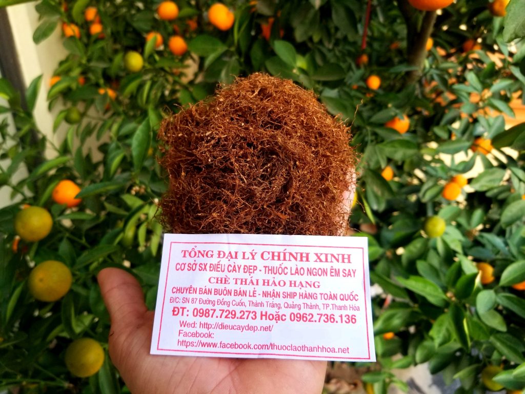 thuốc lào thanh hóa