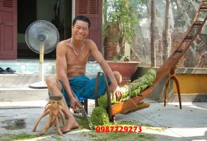 Cuộn lá quy trình sản xuất thuốc lá ngon