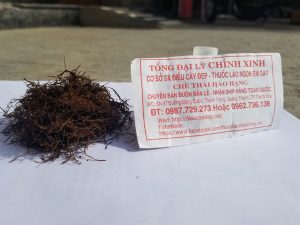 Thuốc lào ngon chính xinh uy tín