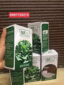 các dòng thuốc lào thanh hóa