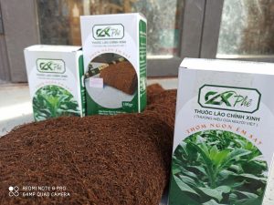 thuốc lào Thanh Hóa Chính Xinh
