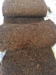 Cách bảo quản thuốc lào