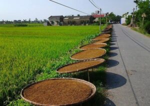 Cách hút thuốc lào không có điếu