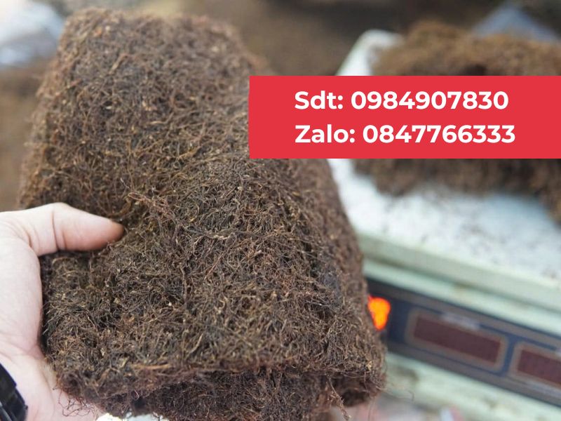 Thuốc Lào Thanh Hóa tại Ba Đình