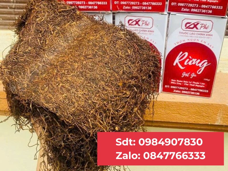 Thuốc Lào Thanh Hóa tại Ba Vì