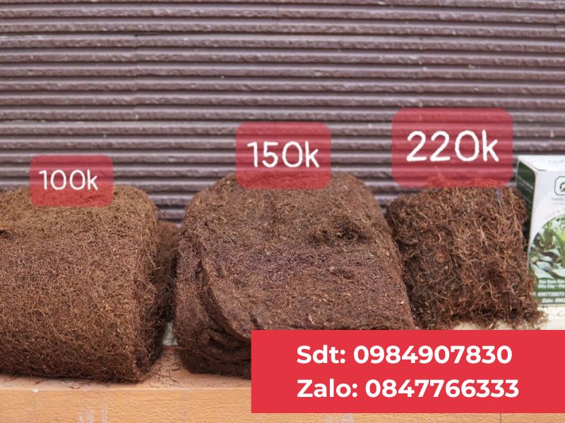 Thuốc Lào Thanh Hóa tại Bắc Từ Liêm