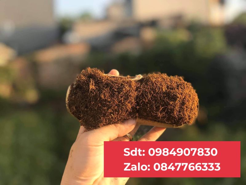 Thuốc Lào Thanh Hóa tại Hai Bà Trưng