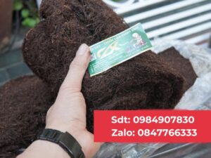 Thuốc Lào Thanh Hóa tại Hoài Đức