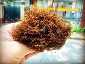 Chọn thuốc lào ngon