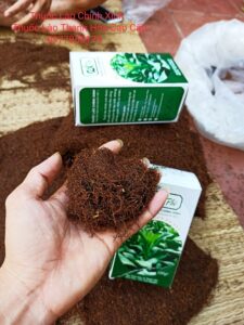 Tại sao hút thuốc lào lại gây cảm giác say