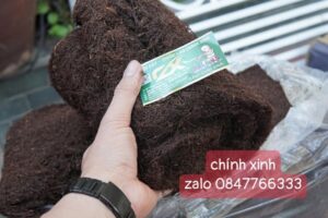 thuốc lào Thanh Hóa tại Hoài Đức