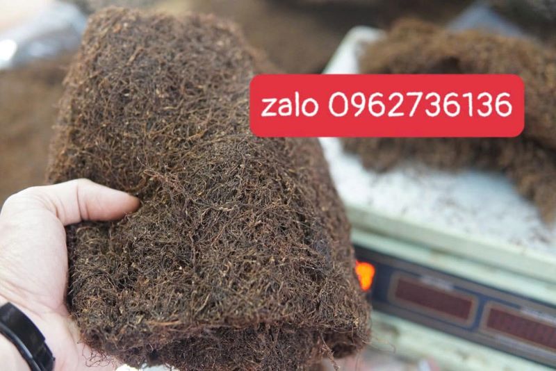 thuốc lào có ngon hơn thuốc lá không