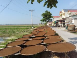 Hút Thuốc Lào Có Lợi Ích Gì Không