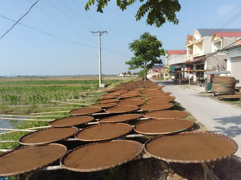 Hút Thuốc Lào Có Lợi Ích Gì Không