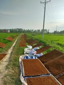 Lịch Sử Thuốc Lào Việt Nam
