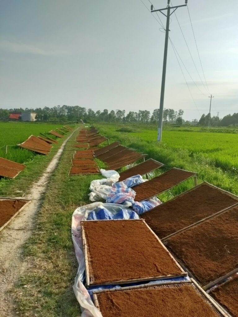 Lịch Sử Thuốc Lào Việt Nam