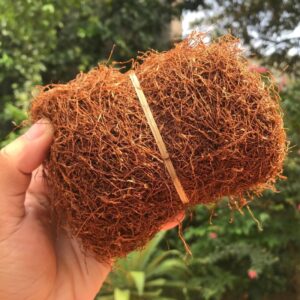 Vì sao thuốc lào gây say
